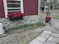 Stamped Concrete
